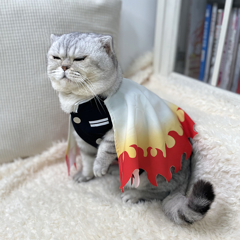 Dämonen töter Haustier Cosplay – Cosplay Flame Prop Bewertung und Preis