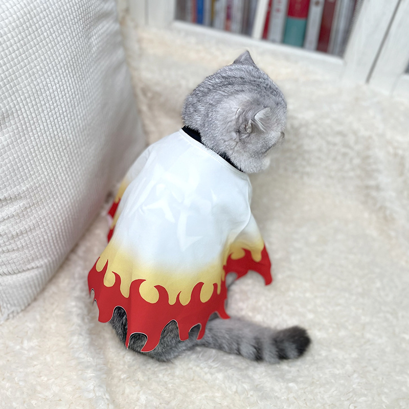 Dämonen töter Haustier Cosplay – Cosplay Flame Prop Bewertung und Preis