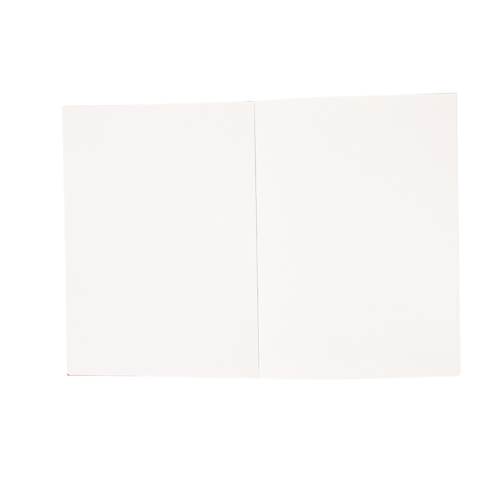 Anime Dungeon Meshi Delicious  – Cosplay Prop Book Bewertung und Preis